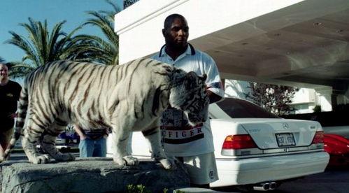 王老虎被爆料了吗视频,揭秘背后真相 第3张 王老虎被爆料了吗视频,揭秘背后真相 第3张